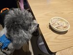 哥哥仔度今日妹釘又有雞肉食
20251020_125313