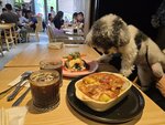 妹釘食飽人食的才到, 焗豬扒飯和雞肉菠菜千層麵
20251020_130621