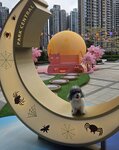 將軍澳中心星光花園
20251020_142739