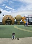 西沙遊樂場, 狗狗不可入
20251107_000044