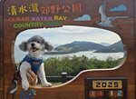 清水灣俱樂部高爾夫球場和後面的東龍島
20251112_000044