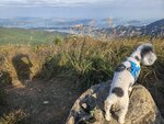 東洋山望西貢海及群島, 連萬宜水庫西壩都睇到

20251112_000057