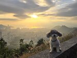 飛鵝山道回程途中見黃昏日落金光

20251112_000072