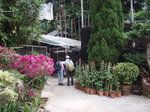 葵芳花園左旁有一小路
P5176402