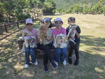 IMG-20251117-WA0177 (002)