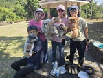 IMG-20251117-WA0187 (002)