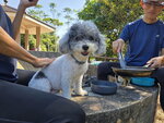 IMG-20251117-WA0308 (002)
