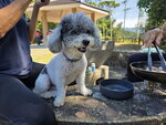 IMG-20251117-WA0311 (002)