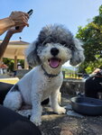 IMG-20251117-WA0313 (002)