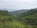 柏架山道落山途中一開揚位
20251028_110709