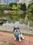 中央公園內水池
20251210_134354