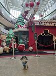 20251220_082735(0)