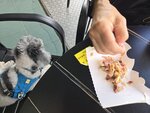 索罟灣食晏, 當然又是妹釘先食啦
20251220_120329