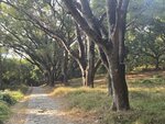 沿海邊路行至石級路, 石級頂郊遊場地, 不過一邊有墳地

20260106_155900