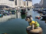 船來了
20260115_140840