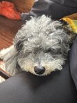 眠一眠養精蓄銳去露營
20260115_145443