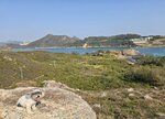 官方營地後山路上一段後回望見燈塔和我哋露營在燈塔旁的空地. 對岸是清水灣鄉村俱樂部, 見到釣魚翁頂
20260116_104333