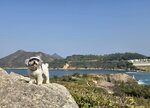 相左是田下山, 田下山旁見釣魚翁頂

20260116_105229