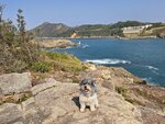 炮台附近遙望東龍島燈塔
20260116_111152