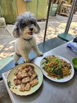加菜心牛肉炒麵
20260116_120417