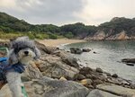 第二天早上往五行石途中經白鰽灣
20260120_000029