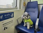 快船有狗狗專屬座位
20260120_000076