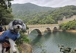 大潭篤水塘第一度英式橋
20260123_000005a