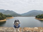 第一度橋上遙望水壩(大潭道)
20260123_000009a