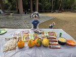 有肉有生果(木瓜, 橙和枇杷柑)20260123_000016a