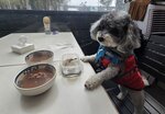 未叫嘢先來兩個湯
20260201_122111