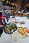加海南雞飯
20260201_122758~2