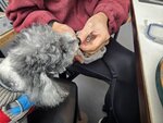 妹釘食鵪鶉腿
20260201_123009