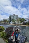 科學園內人工湖
20260201_131156