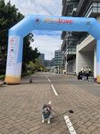原來今日有明愛之友慈善跑

20260201_131646