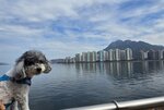 遙望馬鞍山的吊手岩至牛押山一帶

20260201_135450