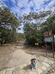 昂平營地對面開始行彌勒山郊遊徑
20260205_110818