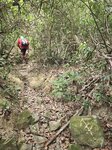 抵沙橋開始走林中路上山

20260210_000013
