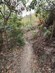 落接大浪坳往蚺蛇坳的山路

20260210_000031
