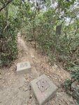 抵蚺蛇坳

20260210_000032