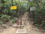 抵大浪坳, 經往蚺蛇尖的山路口

20260210_000075