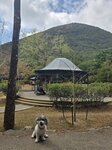 夏力道和盧吉道交接處公園, 涼亭後是西高山
20260216_125424