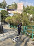 南山路往手指山途中
20260221_111255