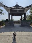 手指山頂鳳萍亭

20260221_120122
