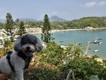 手指山落山途中望東灣.  遠處是大嶼山

20260221_121527