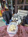 食個晏先, 姀釘先食

20260221_123517