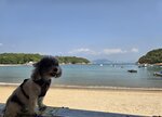 坪洲東灣沙灘

20260221_132152~2