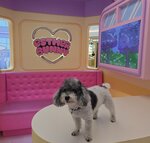 寶琳新都城中心2期內
20260223_144304