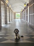美利大樓
20260225_142035(0)~2