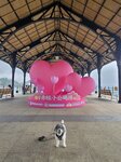 卜公碼頭, 有船去蒲台島
20260225_143611