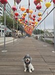 赤柱大街海傍
20260225_144107